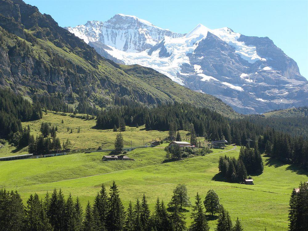 Guest Rooms With A Great View At Residence Brunner Wengen Exterior photo