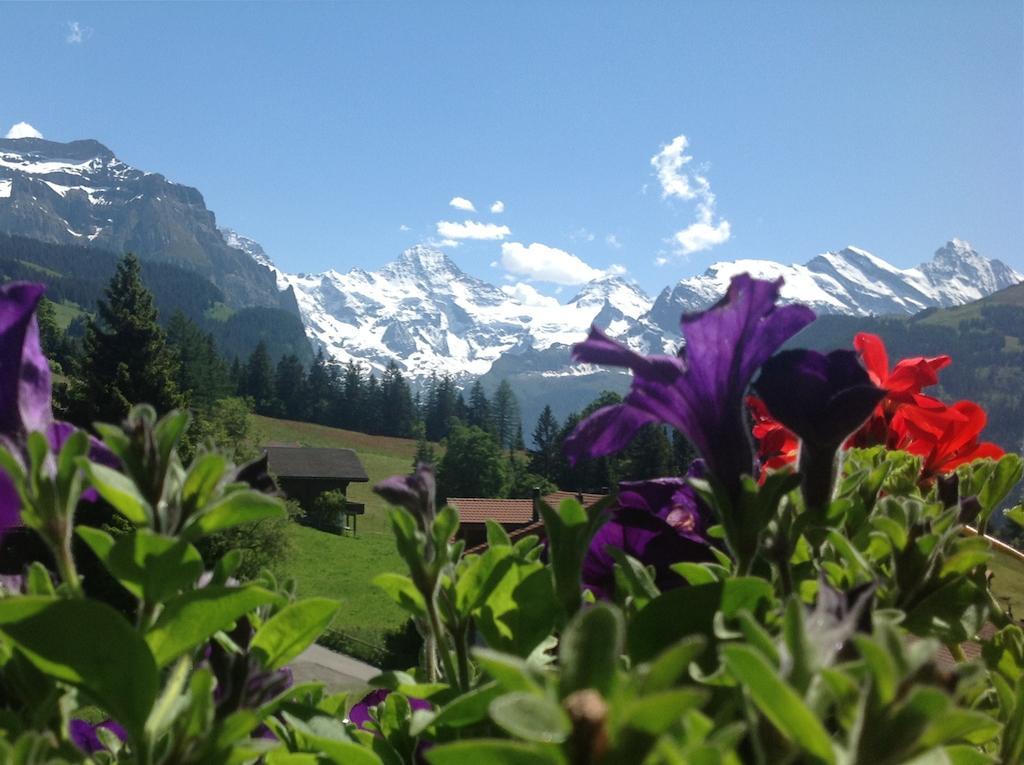 Guest Rooms With A Great View At Residence Brunner Wengen Room photo